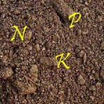 dirt with nutrient labels